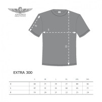 Tricou Aerobatic Aircraft EXTRA 300
