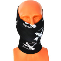 Bandana Cessna 172