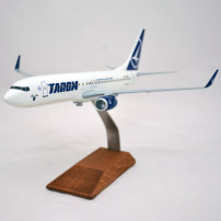 Macheta Tarom Boeing 737-800 YR-BGK Marea Unire Scara 1:100