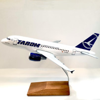 Macheta Tarom Airbus A318-111 YR-ASA Aurel Vlaicu Scara 1:100