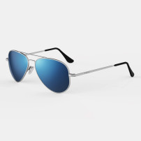 Ochelari de soare Randolph Concorde Matte Chrome