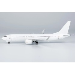 NG Model Boeing 737-MAX8...