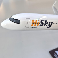 HiSky Airbus A321-271NX (LR) YR-WOW 1:100 Model