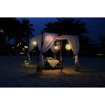 LED Illuminated Balloon Travels Light - 18 cm