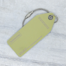 Aviationtag Aer Lingus Airbus A320 - EI-CVC