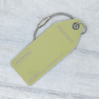 Aviationtag Aer Lingus Airbus A320 - EI-CVC