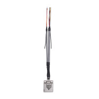 Garmin GCO 14 Detector Monoxid de Carbon