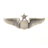 USAF Senior Pilot Large Insignia