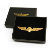 Pilot Wings - Mare