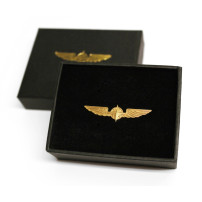 Pilot Wings - Mediu