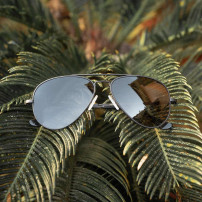 Ochelari de soare Randolph Concorde Matte Black