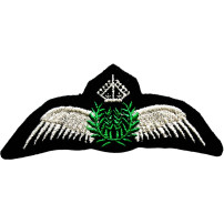 Emblema brodata Civil Pilot Silver Wings